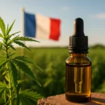CBD en France en 2026 : le guide clair de ce qui est légal ou interdit